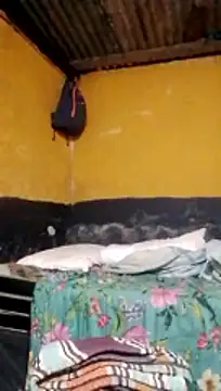 LULE37587001 online show from 2, 3, 2026