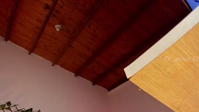 Snapshot of annie_barozzi chatting on 16, 1, 2025 annie barozzi online show from 16, 1, 2025