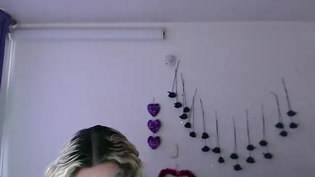 SLOPPYTITSS online show from 24, 3, 2026