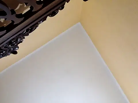 White rabbit  online show from 29, 10, 2025