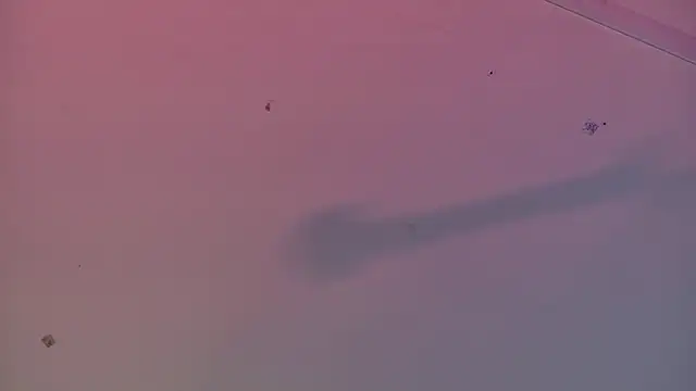 Scarlett collins02 online show from 22, 3, 2025