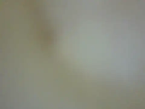 Snapshot of CaptainFox chatting on 22, 5, 2026 CaptainFox online show from 22, 5, 2026