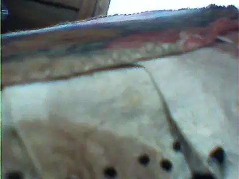 Snapshot of messi_syssy chatting on 25, 2, 2025 messi syssy online show from 25, 2, 2025