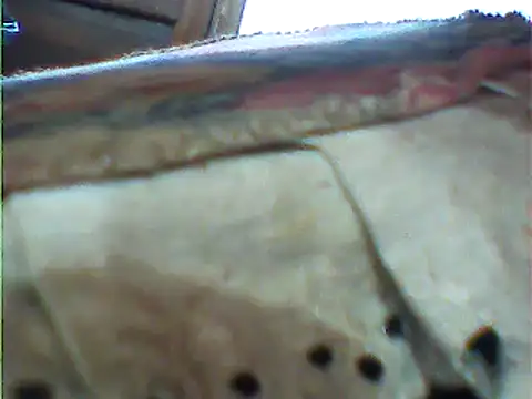Snapshot of messi_syssy chatting on 25, 2, 2025 messi syssy online show from 25, 2, 2025