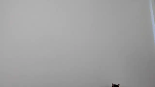 All yours555 online show from 17, 10, 2025