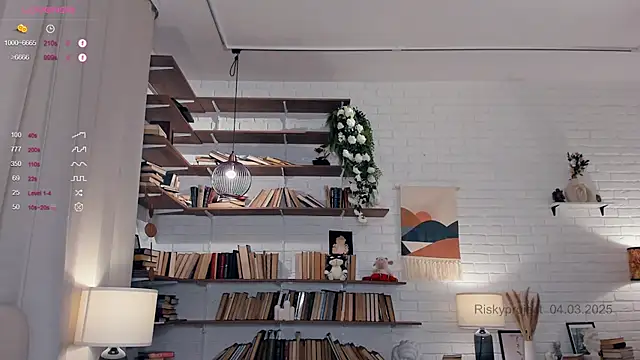 Riskyproject online show from 4, 3, 2025