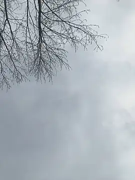 Iceblanca online show from 19, 3, 2025