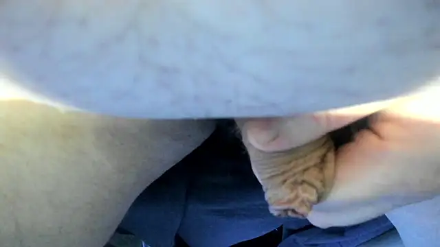 Big Andiy online show from 14, 9, 2025