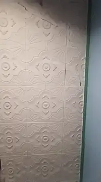 HAIRY PUSSY BIG online show from 1, 1, 2025