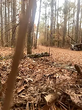 Themechanic420 online show from 14, 12, 2024