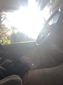 Themechanic420 online show from 5, 11, 2025