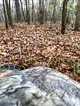 Themechanic420 online show from 13, 12, 2025