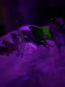 Themechanic420 online show from 1, 2, 2026