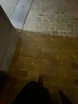 Thepanthera online show from 22, 9, 2025