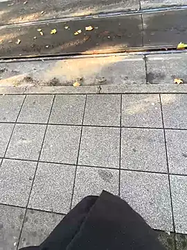 Thepanthera online show from 24, 10, 2025