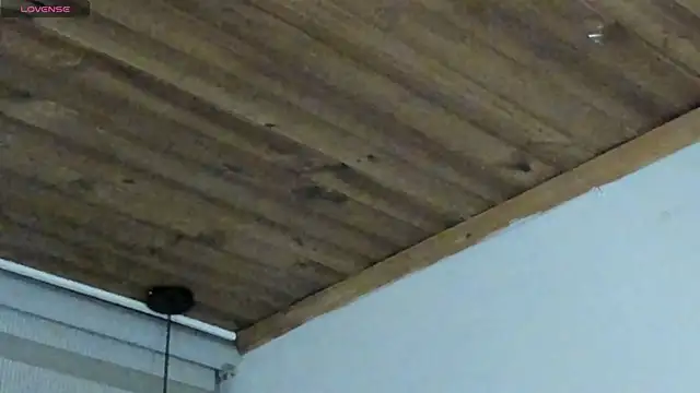 natasha logan  online show from 29, 9, 2025