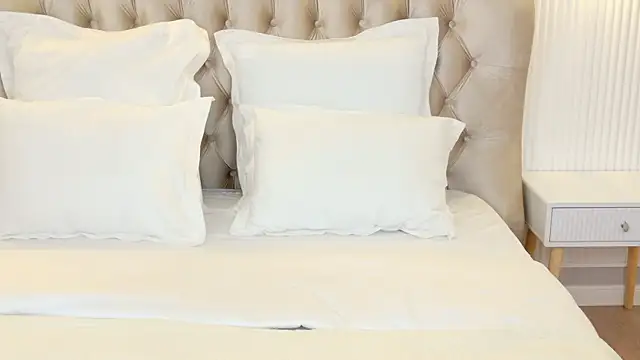 Snapshot of LilyRaisa chatting on 15, 3, 2025 LilyRaisa online show from 15, 3, 2025