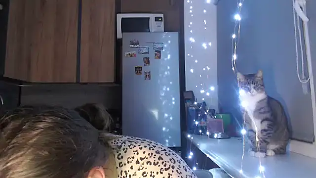 delightful sofi online show from 23, 10, 2025