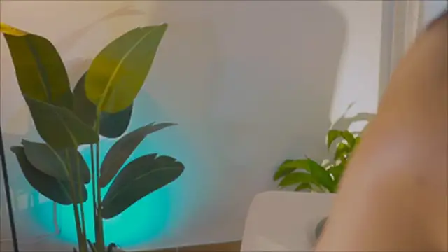 anabelcurvy online show from 6, 2, 2025