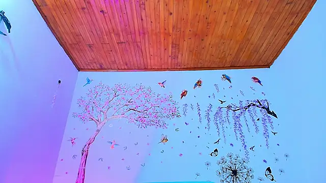 Sofiia Diiaz online show from 27, 11, 2025