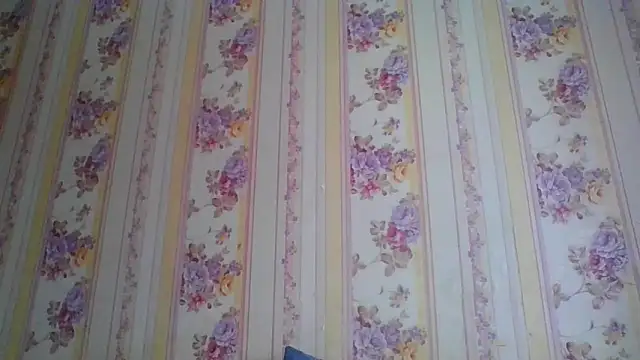 Snapshot of Skills_ chatting on 5, 12, 2024 Skills online show from 5, 12, 2024