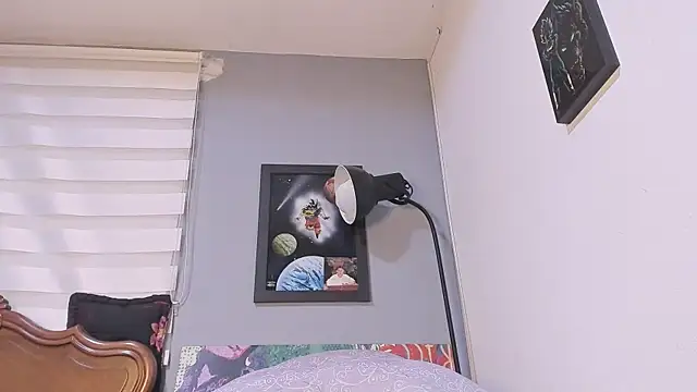 damn fox online show from 12, 12, 2024