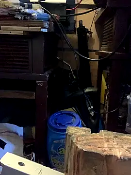 Likewise online show from 19, 10, 2025