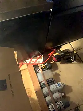 Likewise online show from 6, 11, 2025