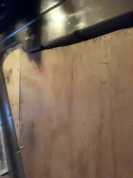 Snapshot of Likewise chatting on 6, 2, 2026 Likewise online show from 6, 2, 2026