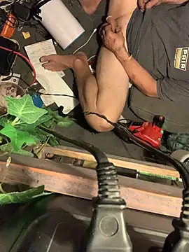 Snapshot of Likewise chatting on 19, 2, 2026 Likewise online show from 19, 2, 2026