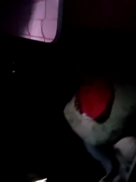 121fff online show from 9, 10, 2025