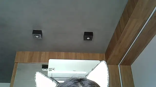 Skinny-Kitten online show from 12, 10, 2025