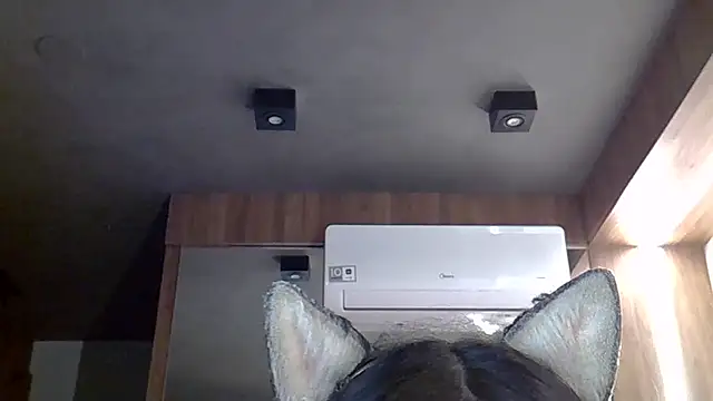 Skinny-Kitten online show from 19, 12, 2025