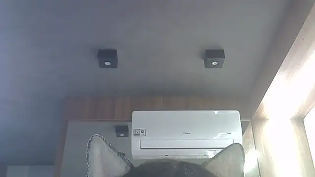 Snapshot of Skinny-Kitten chatting on 16, 1, 2026 Skinny-Kitten online show from 16, 1, 2026