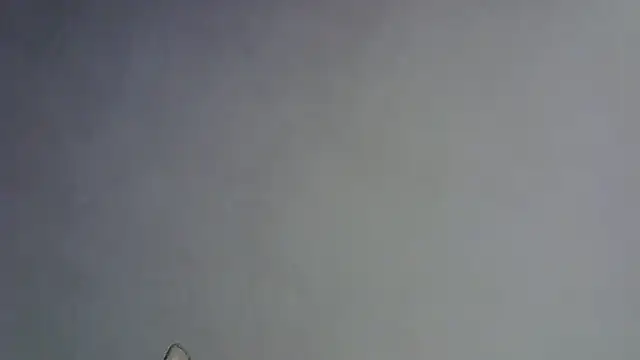 Snapshot of Skinny-Kitten chatting on 16, 1, 2026 Skinny-Kitten online show from 16, 1, 2026