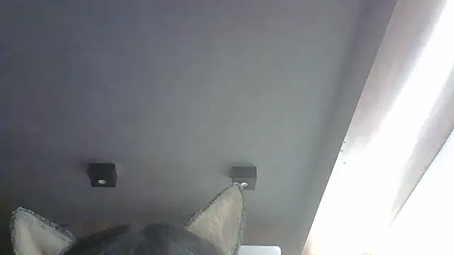 Snapshot of Skinny-Kitten chatting on 19, 1, 2026 Skinny-Kitten online show from 19, 1, 2026