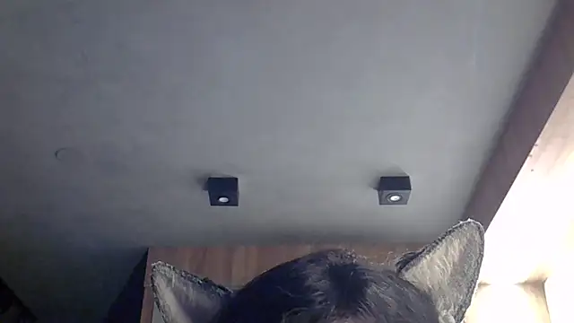 Snapshot of Skinny-Kitten chatting on 4, 2, 2026 Skinny-Kitten online show from 4, 2, 2026