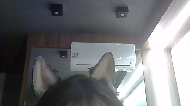 Snapshot of Skinny-Kitten chatting on 5, 2, 2026 Skinny-Kitten online show from 5, 2, 2026