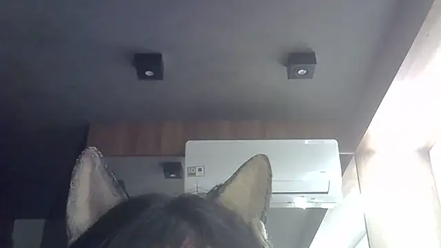 Snapshot of Skinny-Kitten chatting on 11, 2, 2026 Skinny-Kitten online show from 11, 2, 2026