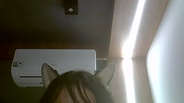 Snapshot of Skinny-Kitten chatting on 13, 2, 2026 Skinny-Kitten online show from 13, 2, 2026