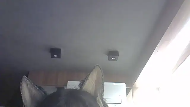 Snapshot of Skinny-Kitten chatting on 14, 2, 2026 Skinny-Kitten online show from 14, 2, 2026