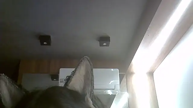 Snapshot of Skinny-Kitten chatting on 15, 2, 2026 Skinny-Kitten online show from 15, 2, 2026