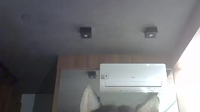 Snapshot of Skinny-Kitten chatting on 15, 2, 2026 Skinny-Kitten online show from 15, 2, 2026