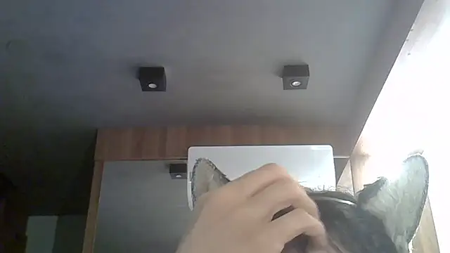 Snapshot of Skinny-Kitten chatting on 17, 2, 2026 Skinny-Kitten online show from 17, 2, 2026