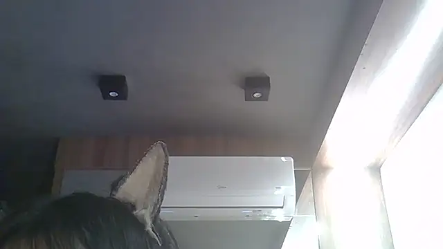 Snapshot of Skinny-Kitten chatting on 17, 2, 2026 Skinny-Kitten online show from 17, 2, 2026