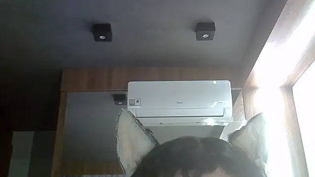 Snapshot of Skinny-Kitten chatting on 20, 2, 2026 Skinny-Kitten online show from 20, 2, 2026