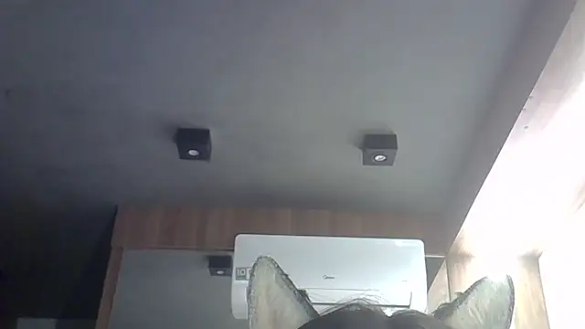 Snapshot of Skinny-Kitten chatting on 22, 2, 2026 Skinny-Kitten online show from 22, 2, 2026