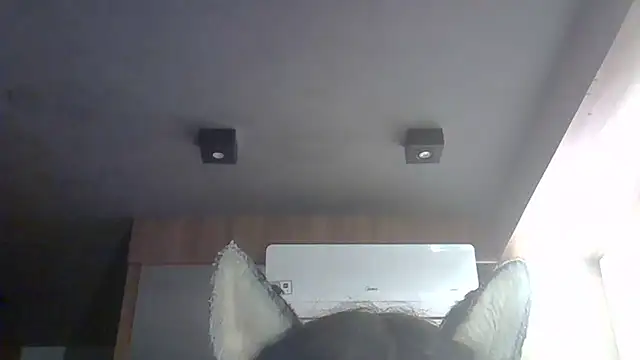 Skinny-Kitten online show from 14, 3, 2026