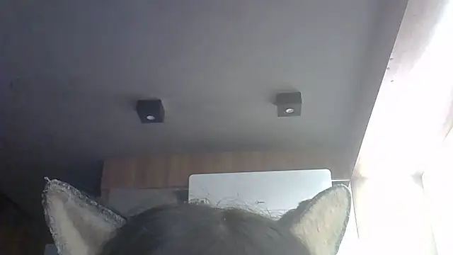 Skinny-Kitten online show from 27, 5, 2026