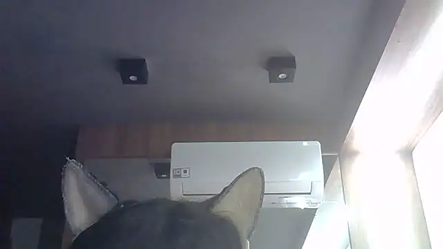 Skinny-Kitten online show from 28, 5, 2026